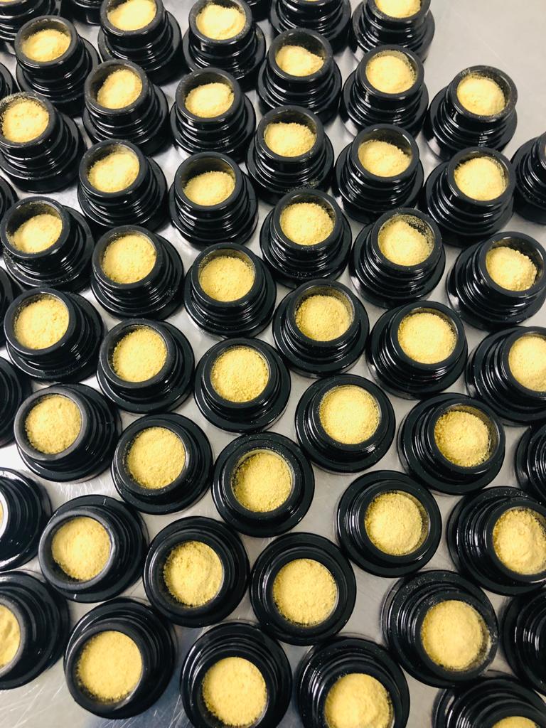 Solventless Process Optimization & On-Site Training Program