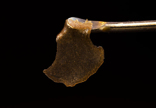 Solventless Process Optimization & New Product Training Program