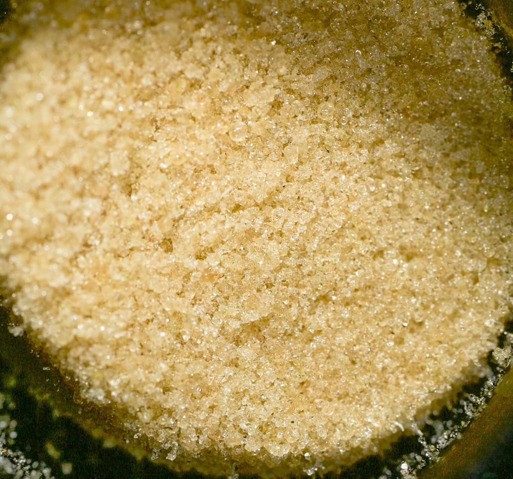 Hash Collection Unit (20-Gallon) – The Solventless Shop